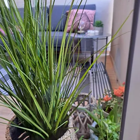 Apartment Zoya Del Mar Pula