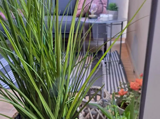 Apartament Zoya Del Mar Pula